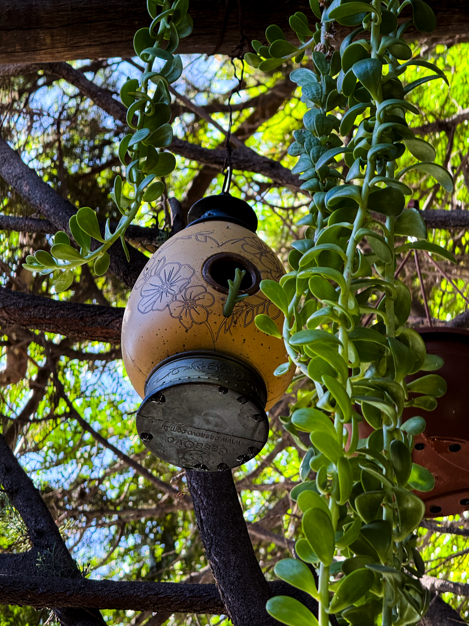 Detalhe da vegetação e cascata do Garden Café